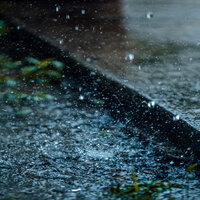 Heavy Pouring Rain, Pt. 8 - Heavy Pouring Rain