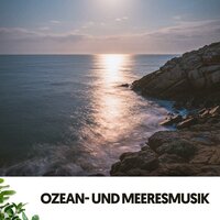 Oase der Ruhe - Cat Music & Ocean Sounds FX & Entspannungsmusik