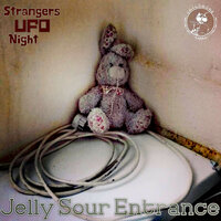 Full Rubber Echo Bag - Strangers UFO Night