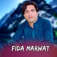 Zma Da Gran Stargi Yadezhi - Fida Marwat