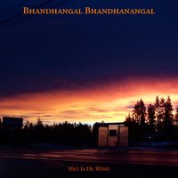 Fleadh - Het Is De Wind