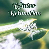 Winter Beach - Relaxing Evening Music Universe