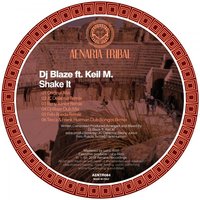 Shake It  (feat. Keil M.) - DJ Blaze