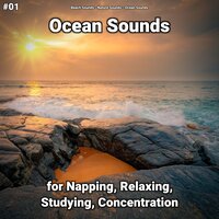 Ocean Sounds Pt. 55 - Beach Sounds & Nature Sounds & Ocean Sounds