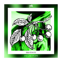 Diamonds - Bronson & Rick Shiver