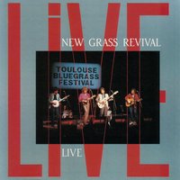 Good Woman's Love - New Grass Revival