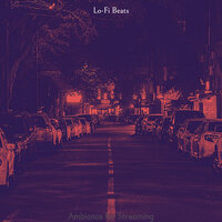 Opulent Moods for Sleep - LO-FI BEATS