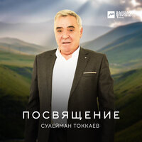 Весет - Сулейман Токкаев