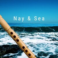 Nay & Sea - Rageed William