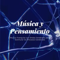 Suave Equilibrio - Armonía Creativa
