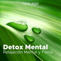 Meditación: Música de Yoga - Mental Detox Series & Imagery Guidation & Mental Detox Series & Imagery Guidation