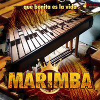 El Carreton - Marimba