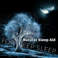 Everyday Life (Peaceful Relaxing Music for Yoga) - Deep Sleep Sanctuary