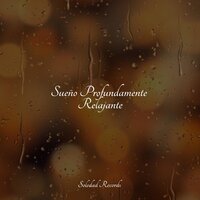 Juntos - Meditacionessa & Canciones De Cuna Para Dormir Bebes & Canciones de Cuna Relax