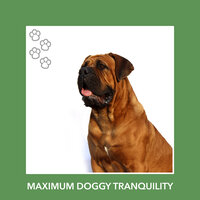 Golden Kinship - Dog Chill Out Music