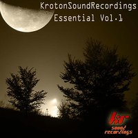 For Your Love - Vinjay & Ingrid B