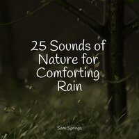 Rainy, Windy Pathway - Sol y Lluvia & Rain Sound Studio & Ambientalism