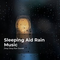 Rainfall While Sleeping - Deep Sleep Rain Sounds & Rain Sounds Collection & Rain Meditations
