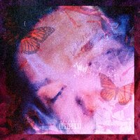 Butterflies - EB