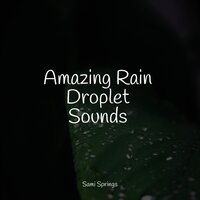 Tranquil Waves - Ambientalism & The Relaxation Principle & Massagem