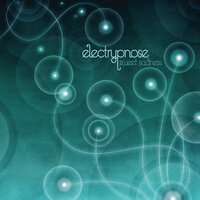 A Wasp at The Fairies - Electrypnose