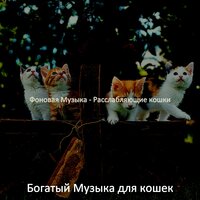 Мечты (Милые кошки) - Богатый Музыка для кошек