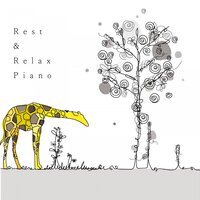 Ambient Organization - Animal Piano Lab