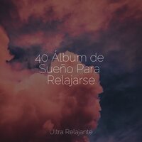 Dicha En La Niebla - Sueño Profundo & Sons da natureza HD & Sonidos De Truenos y Lluvia