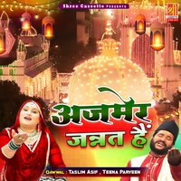 Roye Mera Dil Khwaja Bina - Teena Parveen & Taslim Asif
