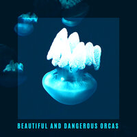 Animal Speech - Exotic Nature Kingdom & Nature Music Sanctuary & Majestic Ocean