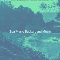 Background for Massage Therapy - Spa Music Background Music