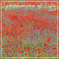Divertimento For Strings In D Major, KV.136 (Salzburg Symphony No.1): III. Presto - Camerata Salzburg & Вольфганг Амадей Моцарт
