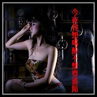外婆的澎湖湾 - 张力庭