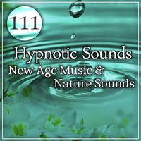 Tranquil Healing Music - Buddhist Meditation Music Set