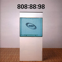 The Only Rhyme That Bites - MC Tunes & 808 State