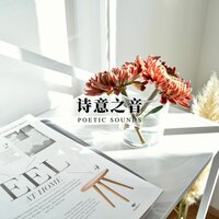 精巧之曲 - 店铺背景音乐