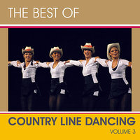 I'm In A Hurry (And Don't Know Why) (Ski Bumpers) - The Country Dance Kings
