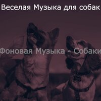 Настроения (Дрессировка собак) - Веселая Музыка для собак