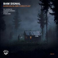 Darksin In Abr Forests - Bam Signal & KODA (AR)