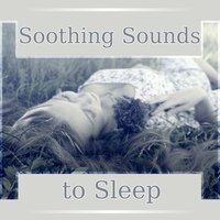 Bedtime Song - Bedtime Songs Academy