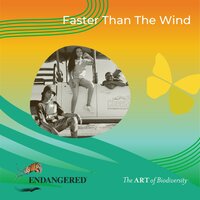 Faster than the Wind - ELEMOTHO & Lioness & Suzy Eises