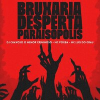 Bruxaria Desperta Paraisopolis - DJ CHAVOSO O MENOR CRIMINOSO & MC POGBA & MC Luis do Grau