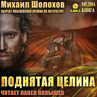 Михаил Шолохов. «Поднятая целина». Часть 68 - Павел Конышев