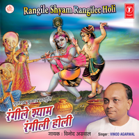 Vrindavan Mach Rahi Dhoom, Chalyo Aiyo Re Shyam, Sakhi Ghoonghat Kaahe Khole, Nainon Mein Pichkari Dayee, Rasiya Ko Naari Banavo Ri, Taine Gazab Kiyo Re Rang Daar, Hori Khelungi Shyam Tote Nay Harun - Vinod Agarwal