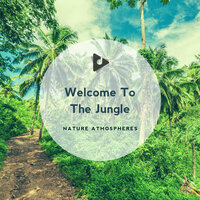 Nature Is So Awesome - Nature Sounds & Nature Atmospheres