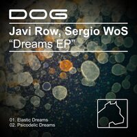 Psicodelic Dreams - Javi Row & Sergio WoS