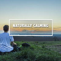 Shining Through the Drum of Rain - Academia de Música para Massagem Relaxamento, Relaxamento Sons da Natureza Ruído Branco Musicas Clube, & Academia de Música para Massagem Relaxamento & Relaxamento Sons da Natureza Ruído Branco Musicas Clube