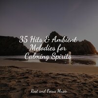 Conscious Meditation - Baby Relax Music Collection & Meditation Zen & Preschool Kids