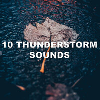 Sounds of Rain and Thunder - Ambient Rain & Soothing Nature Sounds & Deep Relaxation Meditation Academy