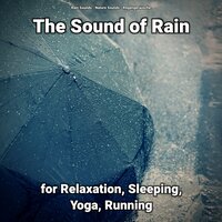 The Sound of Rain for Relaxation Pt. 47 - Nature Sounds & Rain Sounds & Regengeräusche
